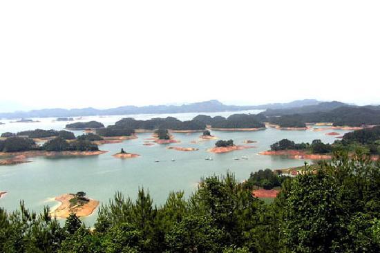 Hangzhou Qiandaohu National Forest Park